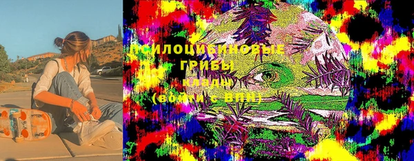 дживик Богородск